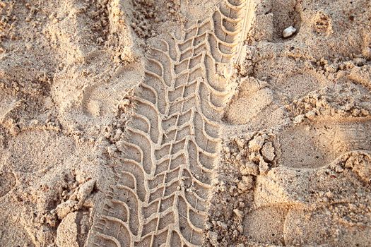 Tire ruts imprinted in the sand.