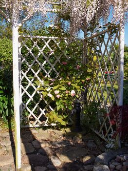  Wooden pergola gazebo in a beautiful blooming garden full of flowers and green plants         