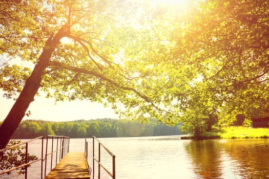 Beautiful bright day summer scenery. Lake and trees.