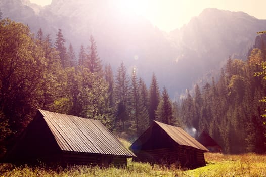 Autumn scenery. Small wooden houses and beautiful gold fall in mountains.