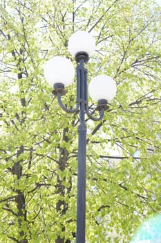 Street lamp in the form of white glass balls on background of green foliage