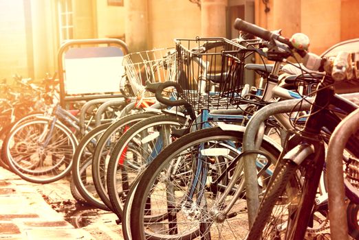 Sunshine street with many bikes.