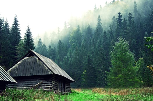 Small old wooden house in foggy forest. Mountains scenery. Nature conceptual image.