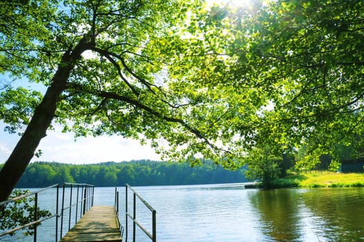 Beautiful summer scenery. Lake and trees.