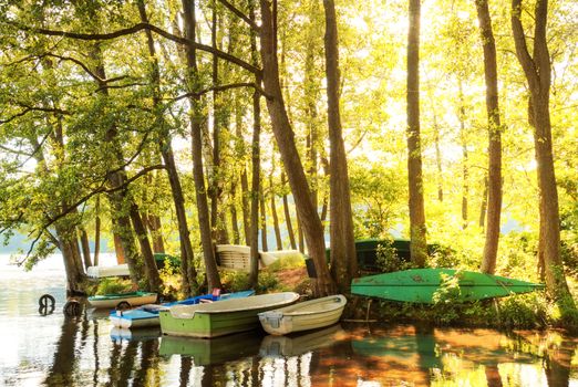 Nature summer landscape. Wonderful lake and boats between the trees.