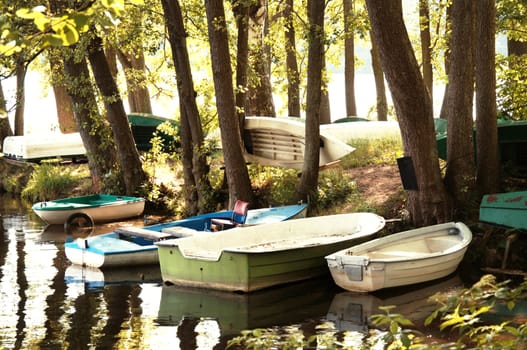 Nature summer landscape. Wonderful lake and boats between the trees.