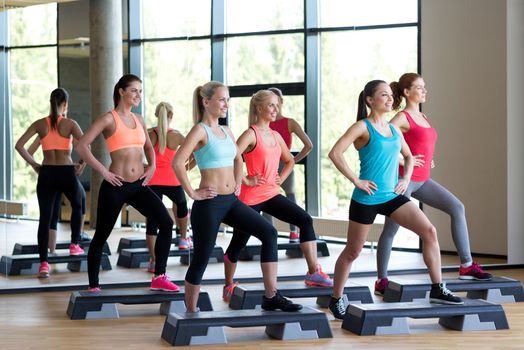 fitness, sport, training, gym and lifestyle concept - group of women working out with steppers in gym