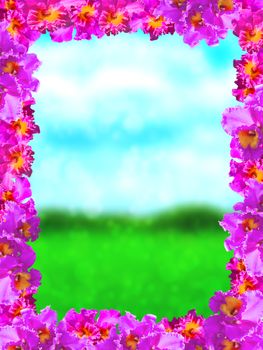 Frame of Beautiful Pink Orchids on Soft and blurred background.