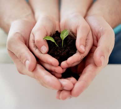 people, charity, family and ecology concept - close up of father and girl holding soil with green sprout in cupped hands at home