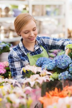 people, gardening and profession concept - happy woman or gardener taking care of flowers in greenhouse