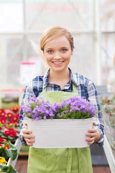 people, gardening and profession concept - happy woman or gardener holding flowers in greenhouse