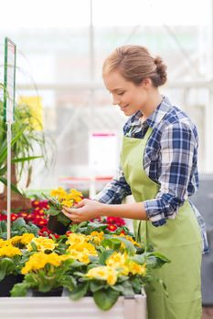 people, gardening and profession concept - happy woman or gardener holding flowers in greenhouse