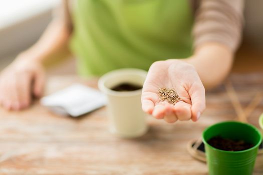 people, gardening, seeding and profession concept - close up of woman hand holding and showing seeds