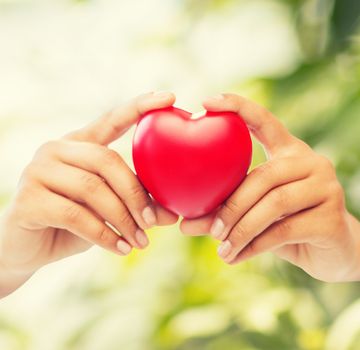 health and charity concept - close up of woman hands holding heart