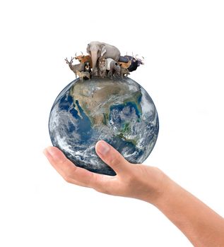 hand hold animal on the earth, Element of this image are furnished by NASA