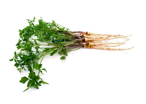General view of the root parsley with green leaves and root on a white background