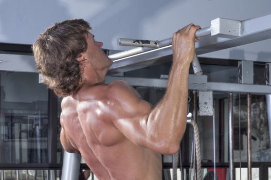 Profile and rear torso of muscular shirtless male Caucasian athlete performing pullups in gym