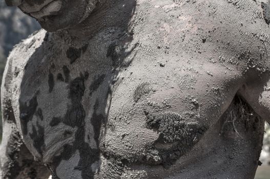 Closeup of upper torso chest area of muscular man covered in dry cracking mud outdoors in direct sunlight
