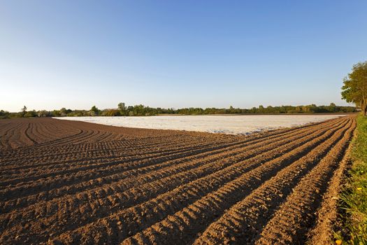  an agricultural field on which material as the greenhouse lies