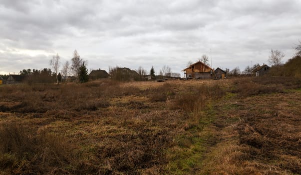   the dried grass in an autumn season. cloudy weather