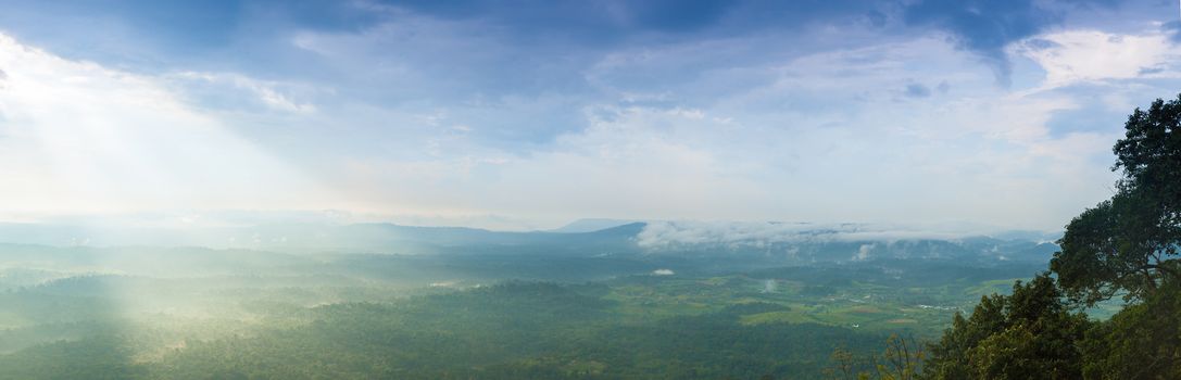 panorama mountain and sky in evening. tree and forest cover mountain at north thailand.area cold.