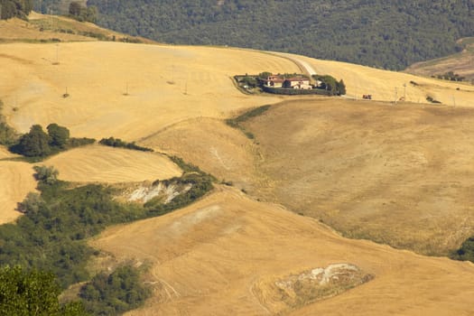 view of typical Tuscany landscape in summer, Italy