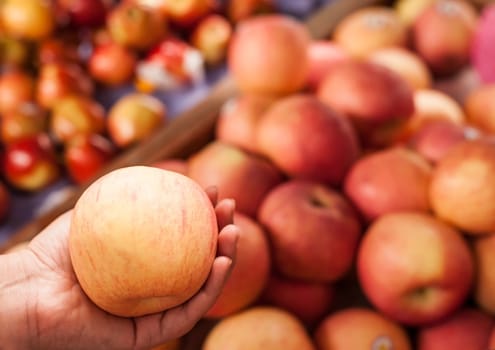 Red apple in woman hands in local market