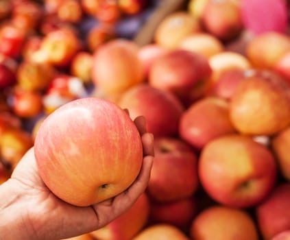 Red apple in woman hands in local market