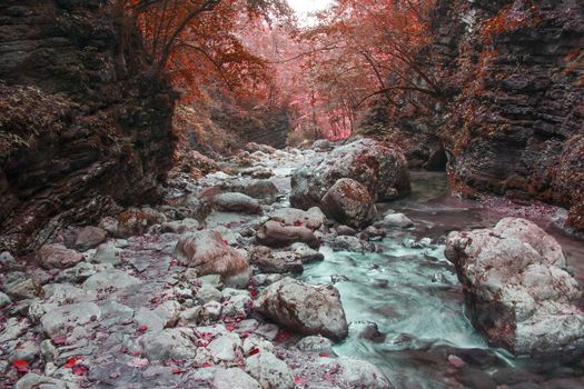 River stream in colorful autumn forest (stream Kozjak, Soca valley, Slovenia)