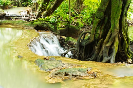 Deep forest Waterfall, Beautiful nature