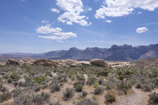 Rugged arid valley of Red Rock national conservation area with rocky mountain peaks and desert shrubbery in late spring