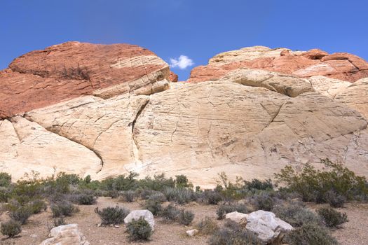 Colorful geological rock formations of Aztec sandstone in Red Rock Canyon conservation area in Nevada under clear blue sky in spring