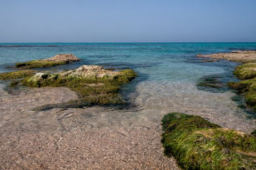 Small island near the sea shore covered with algae at high tide