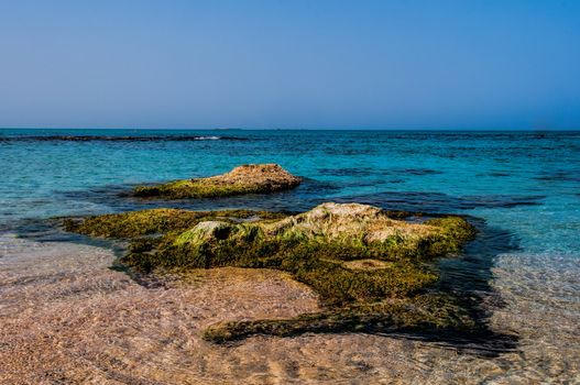 Small island near the sea shore covered with algae at high tide