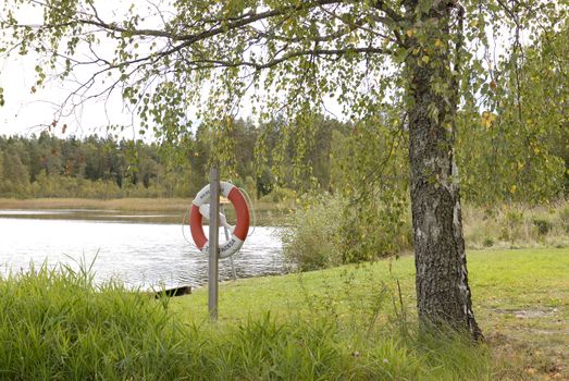 Pond with lifebuoy fit for fishing, swimming and good times!