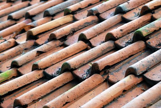 Red tiled roof