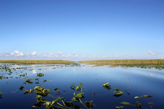 Everglades National Park in Florida