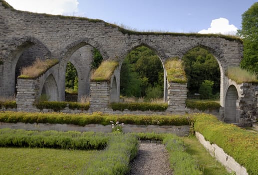 Alvastra Monastary was the first Cistercian monastery in the nordic countries. It was founded here at the foot of Omberg, Sweden, in 1143.