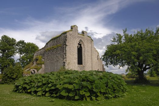 Alvastra Monastary was the first Cistercian monastery in the nordic countries. It was founded here at the foot of Omberg, Sweden, in 1143.