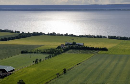 A view over cornfields in summertime with farms and lake  "Vatterna" (Sweden) in the background.