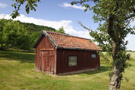 Swedish landscape with cottage.