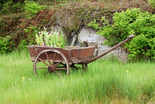 Old trailer in garden.