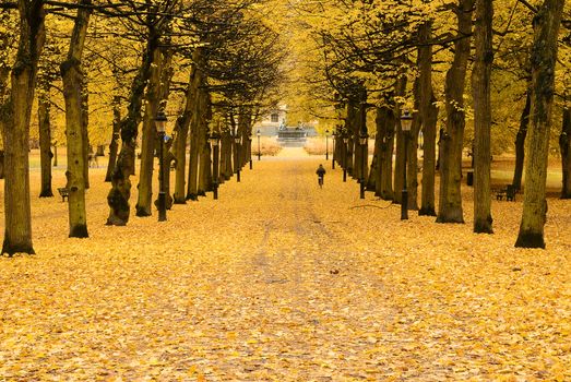 Autumn in Stockholm.