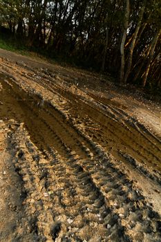 Dirty broken rural road with deep tire tracks