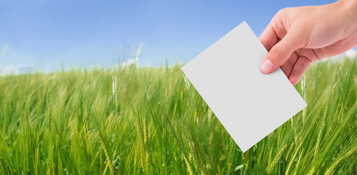 Hand showing card against green meadow
