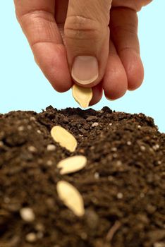 Vertical close up shot of hand planting seeds in soil.