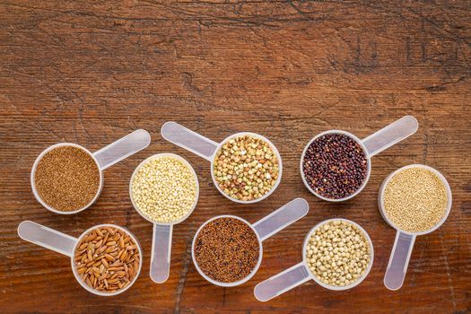 gluten free grains (quinoa, brown rice, kaniwa, amaranth, sorghum, millet, buckwheat, teff) - a set of measuring scoops on a rustic wood with a copy space