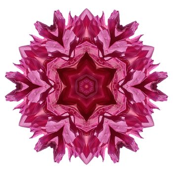 Flower mandala isolated on white background