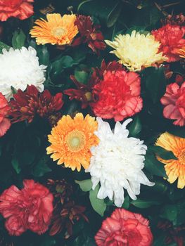 Bouquet of flowers background