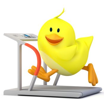 Little chick running on treadmill - 3D render